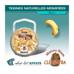 Teignes Momifiées naturel